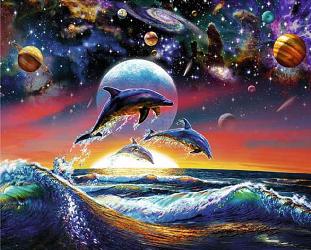 Dolphin Universe  Enmarcado de cuadros